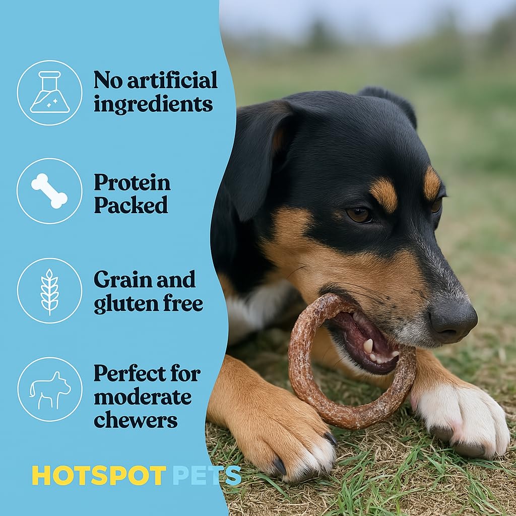 Hotspot Pets Bully Stick Rings dog chewing action demonstrates engagement