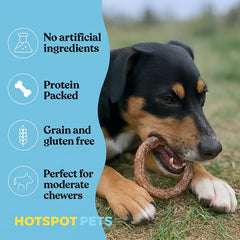 Hotspot Pets Bully Stick Rings dog chewing action demonstrates engagement