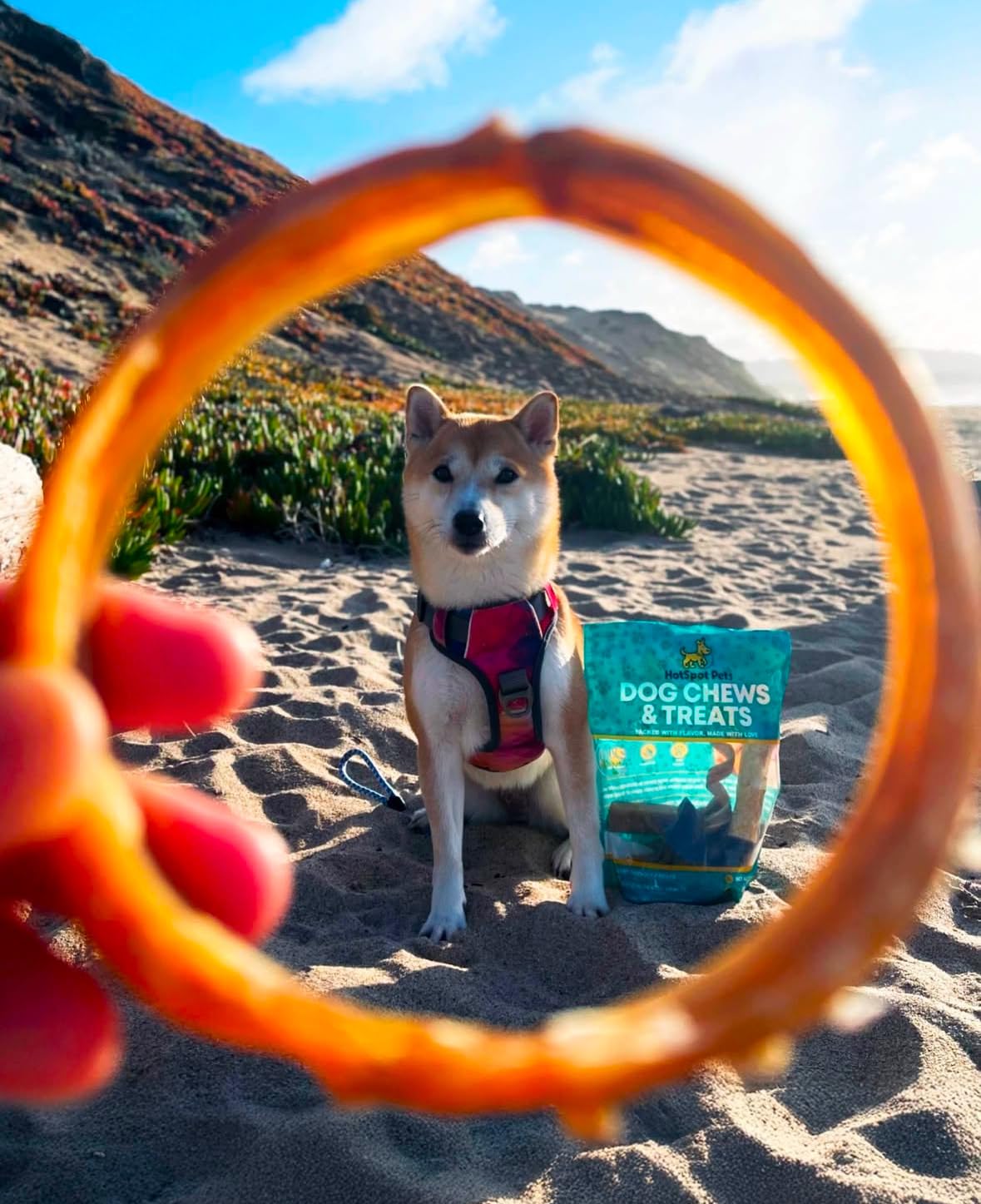 Hotspot Pets Bully Stick Rings grain-free option for sensitive stomachs