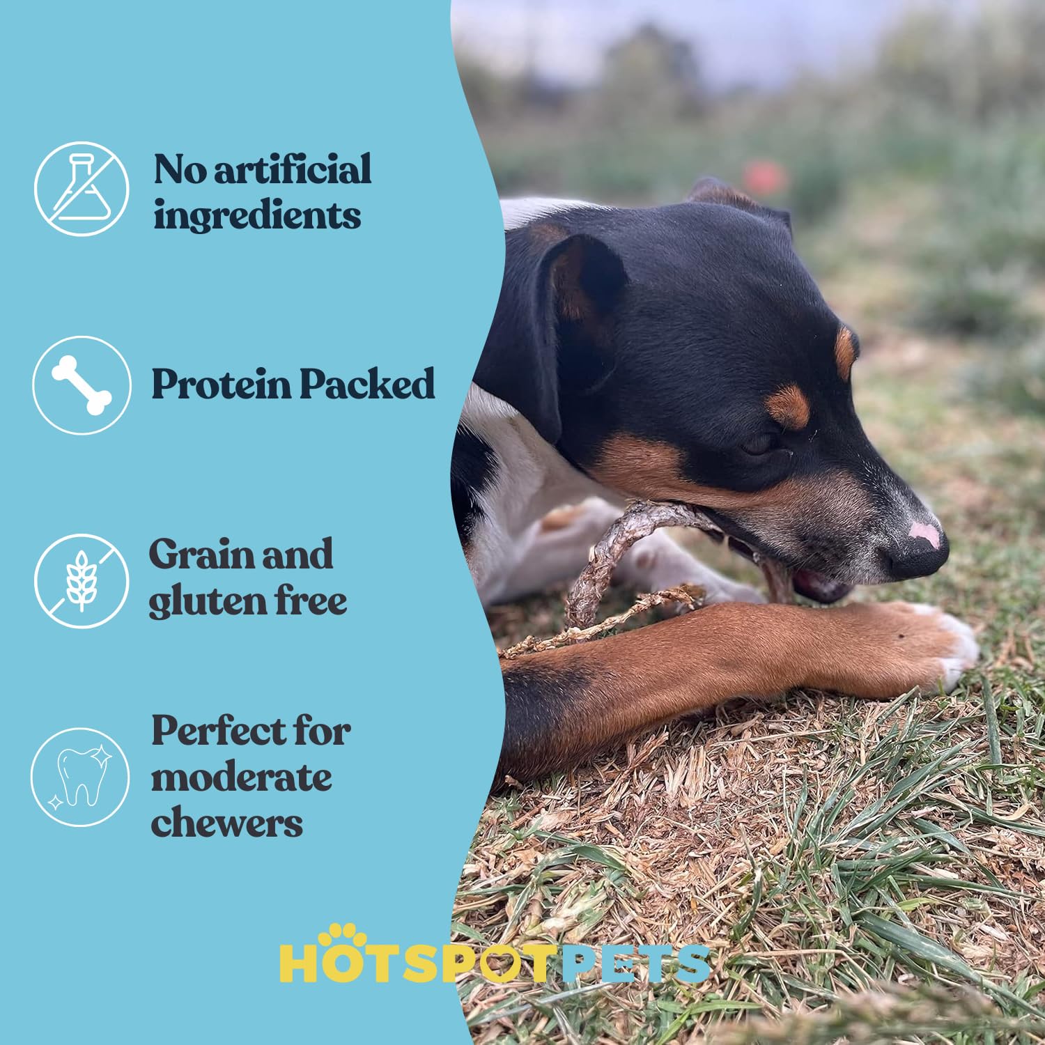 Hotspot Pets Bully Stick Rings grain-free option for healthy chewing.
