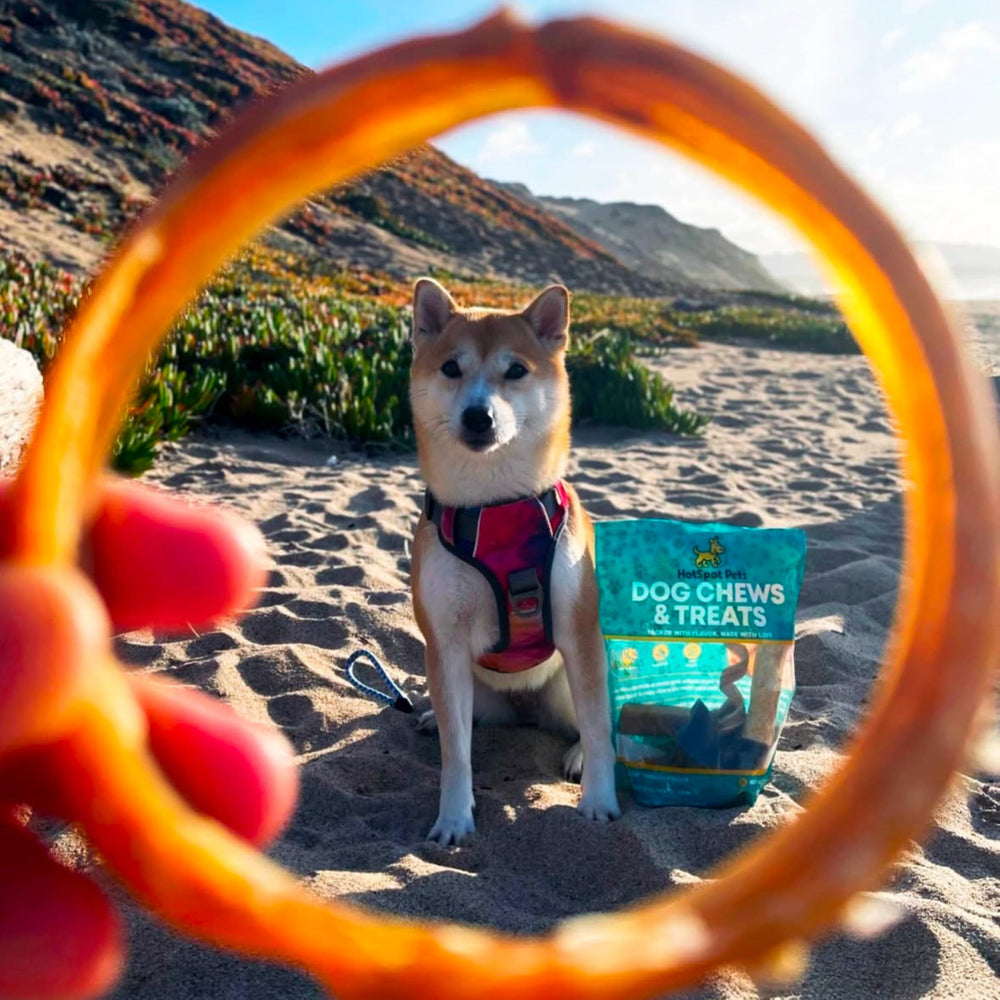 Hotspot Pets Bully Stick Rings rawhide alternative for safe chews.