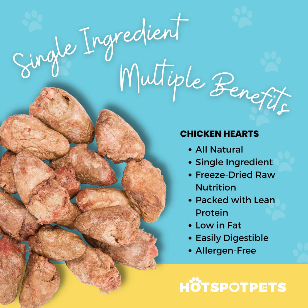 Close-up of Hotspot Pets chicken heart treats highlighting single-ingredient nutrition.