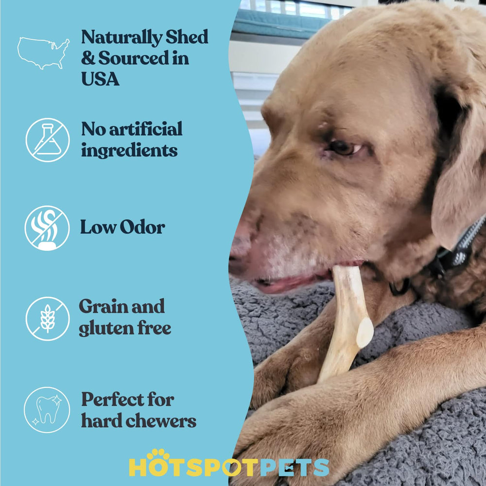 Hotspot Pets deer antler no odor chew for indoor use