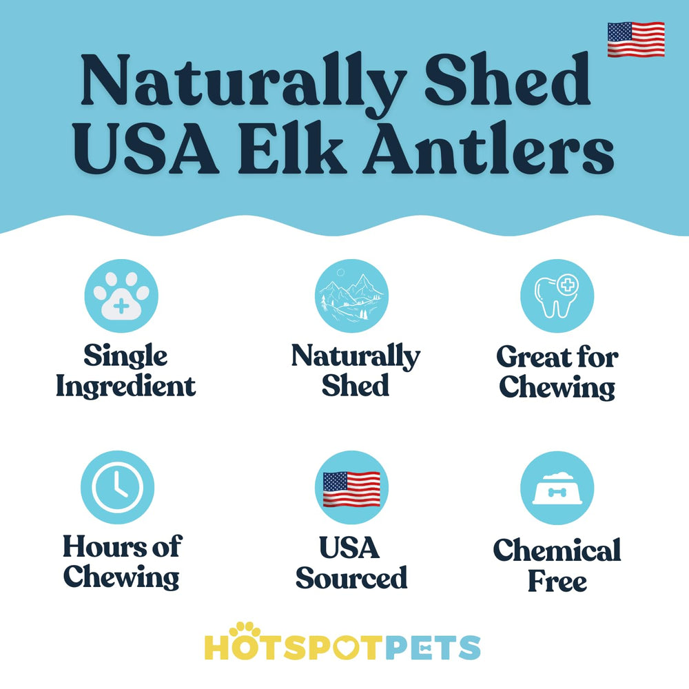 Elk antler dog chews 4-6 inches, long-lasting entertainment from Hotspot Pets.