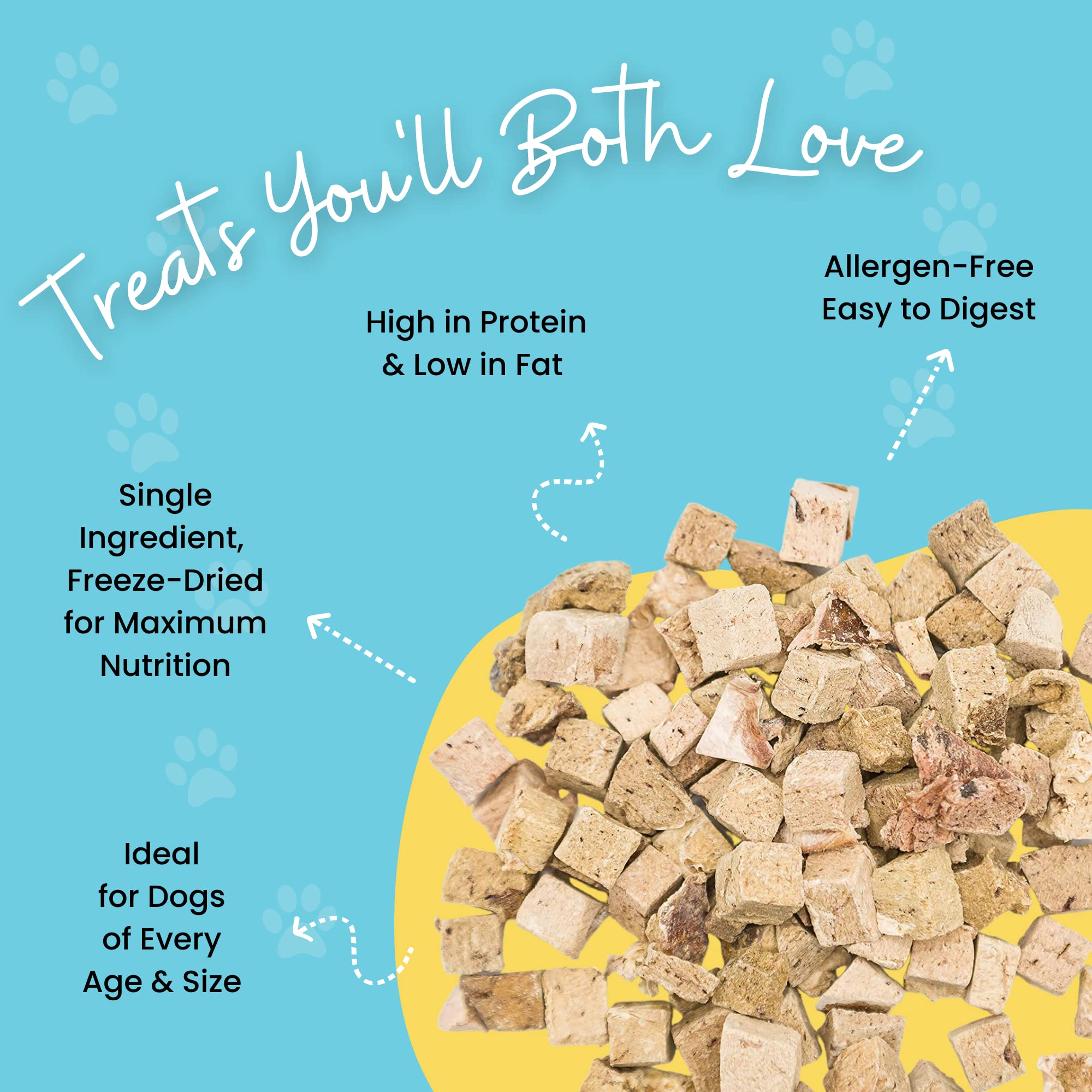 Hotspot Pets Freeze Dried Beef Liver Treats pieces closeup, single-ingredient nutrition for training
