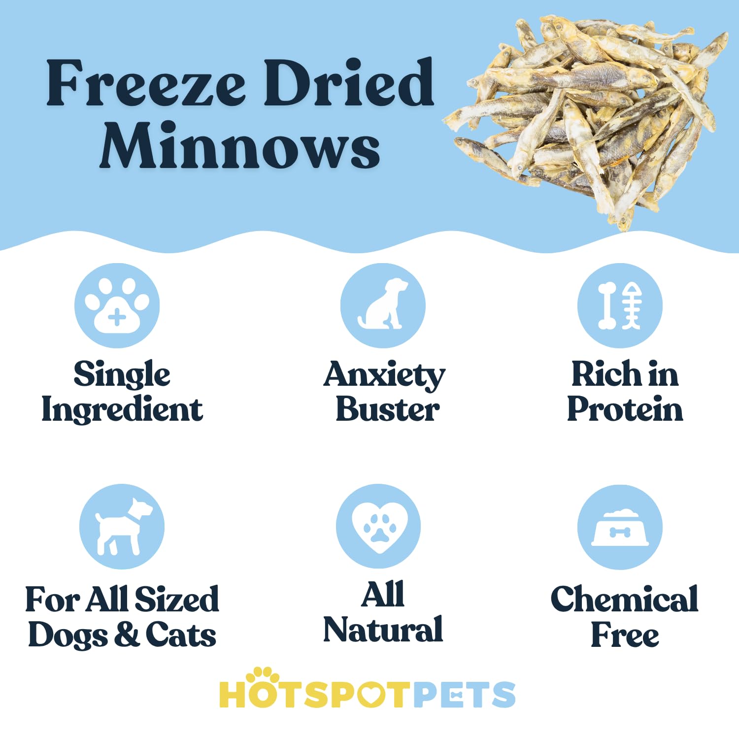 Hotspot Pets cat enjoying minnows as training reward