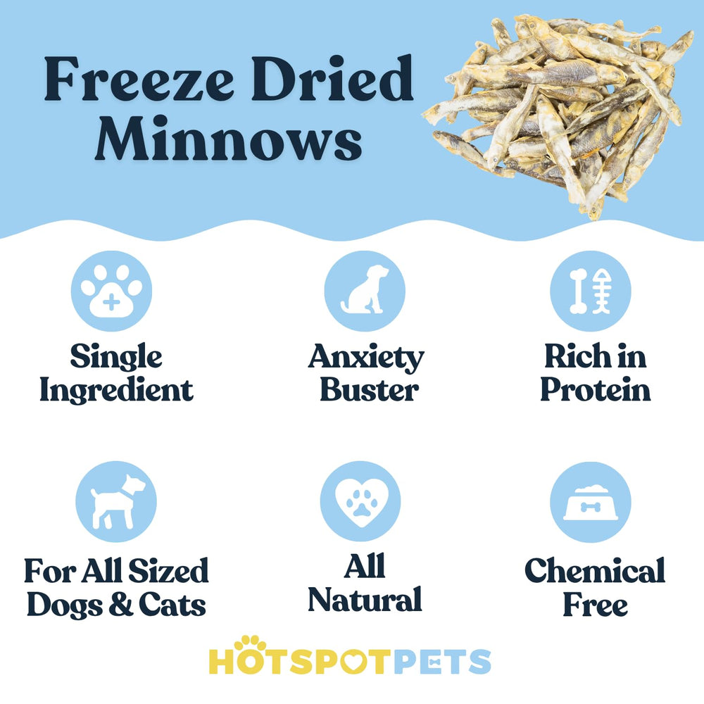 Hotspot Pets cat enjoying minnows as training reward