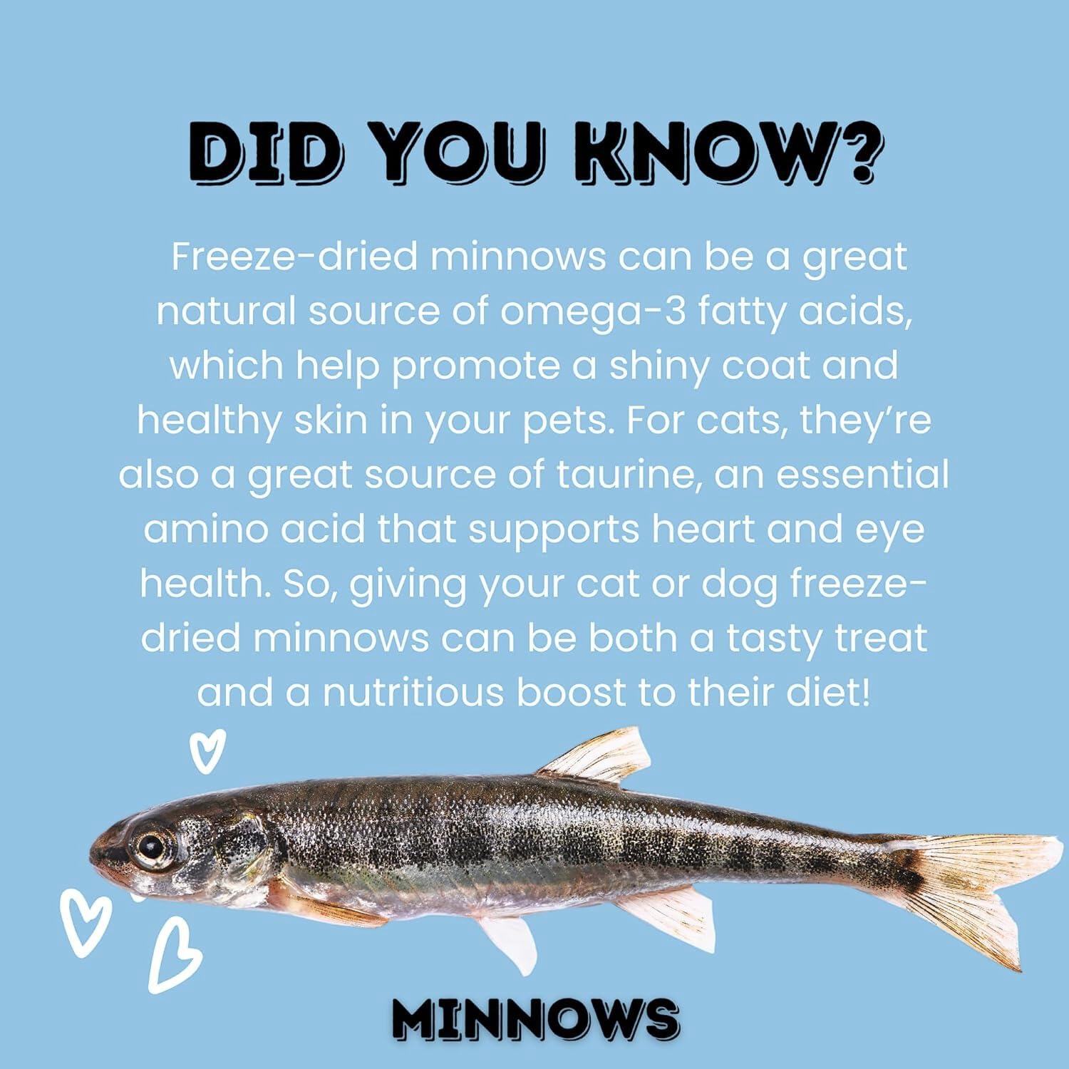 Hotspot Pets dog enjoying minnows as a savory snack
