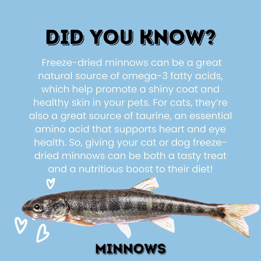 Hotspot Pets dog enjoying minnows as a savory snack