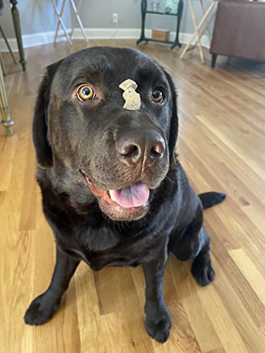 Hotspot Pets Beef Liver Treats, low fat and low carb snack