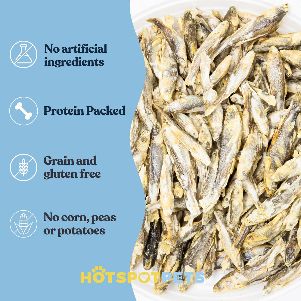 Hotspot Pets minnow treat label emphasizes single-ingredient grain-free formula