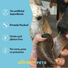 Hotspot Pets natural dog chew with grass-fed hooves, supports routine oral care.