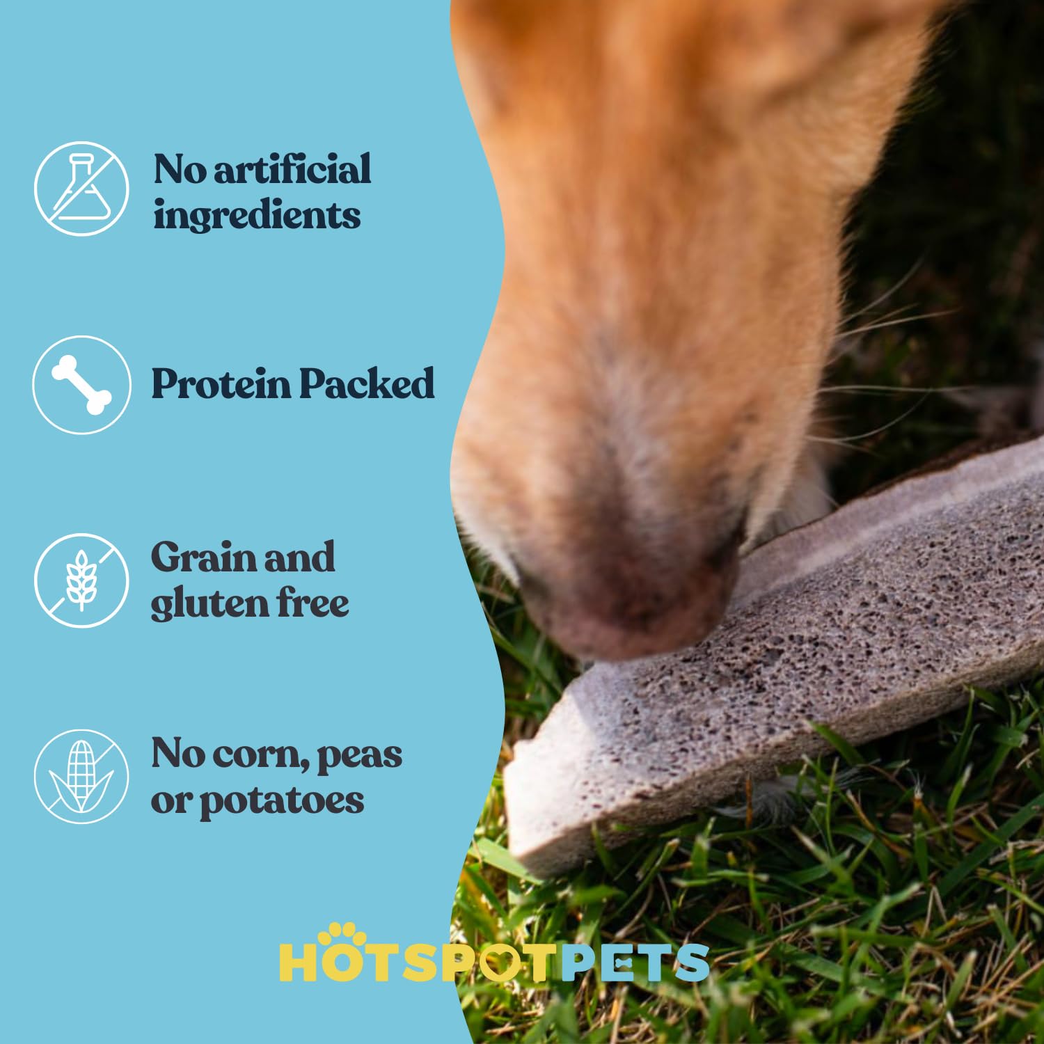 Naturally shed elk antlers from Hotspot Pets, a safe chew for big dogs