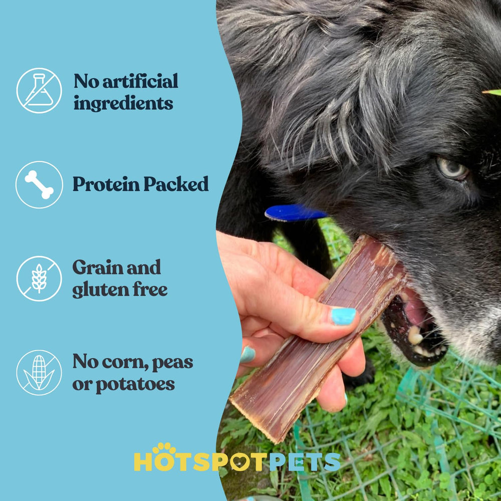 Hotspot Pets natural jerky with no additives supports healthy snacks for dogs.