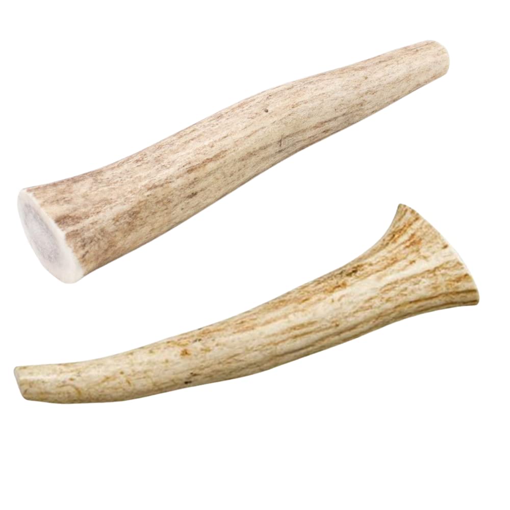 Hotspot Pets natural shed deer antlers sourced in USA