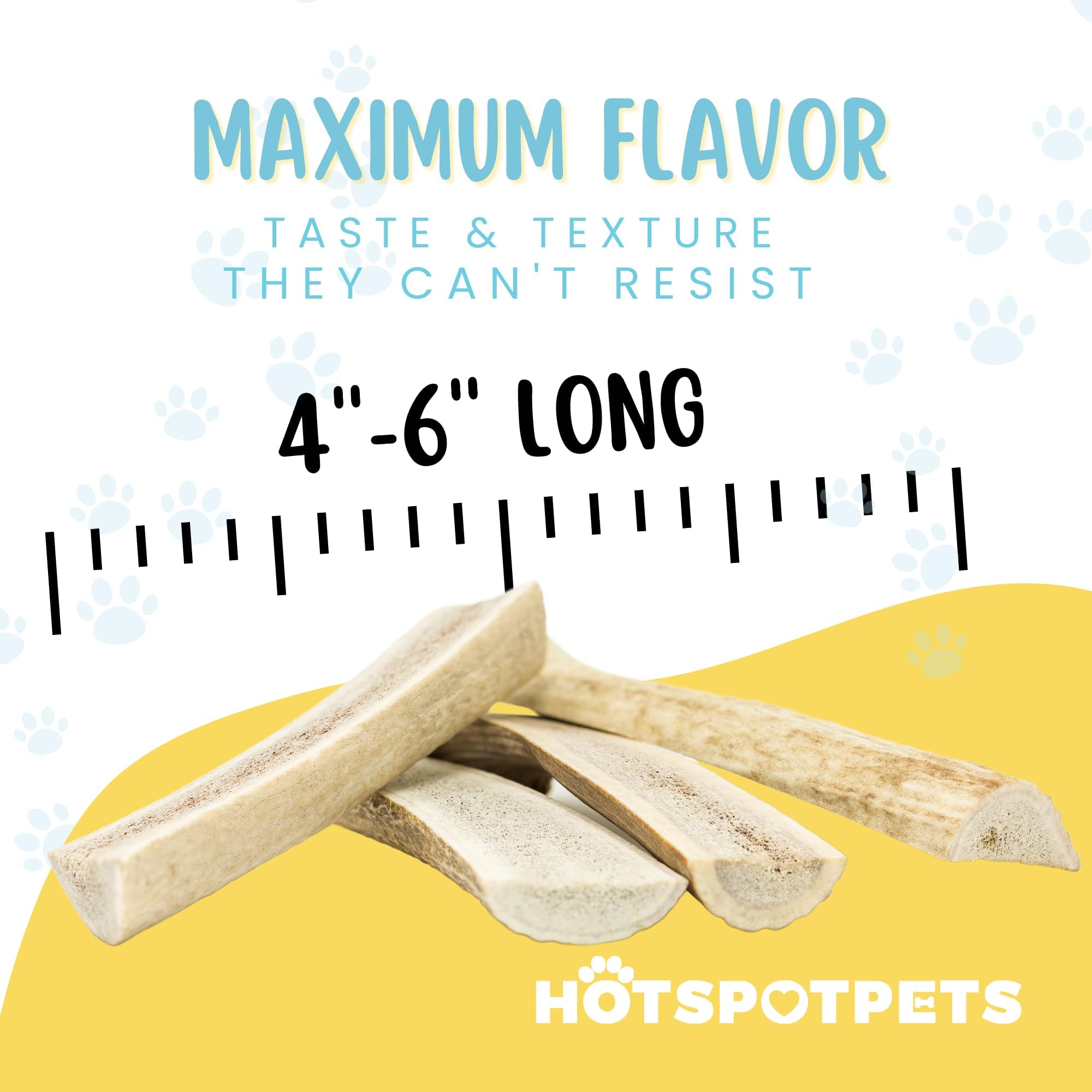 Naturally shed elk antlers from Hotspot Pets, USA-made, premium quality.