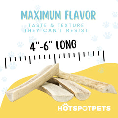 Naturally shed elk antlers from Hotspot Pets, USA-made, premium quality.