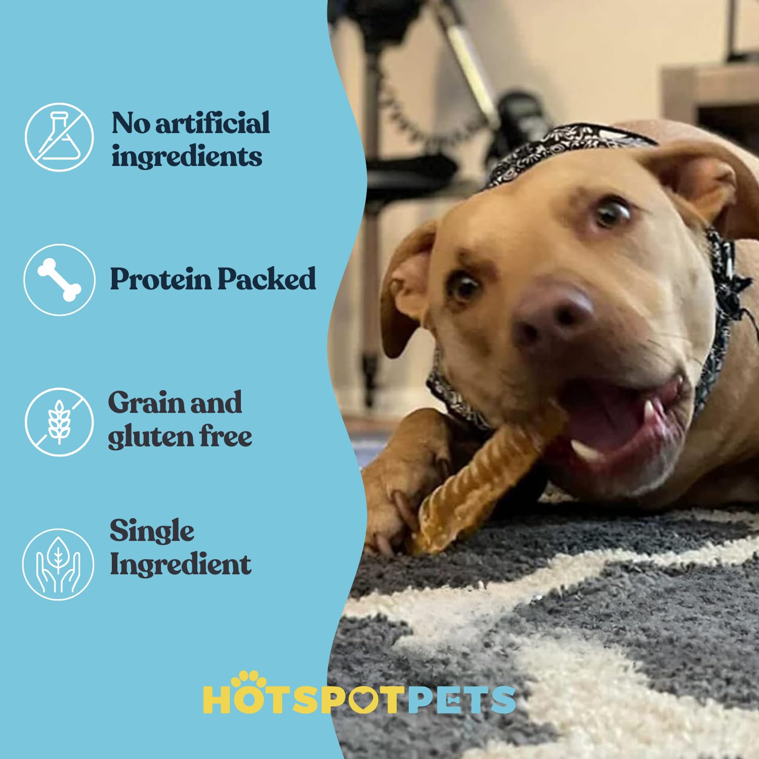 Hotspot Pets no rawhide trachea treats offer a safe, digestible chewing option.