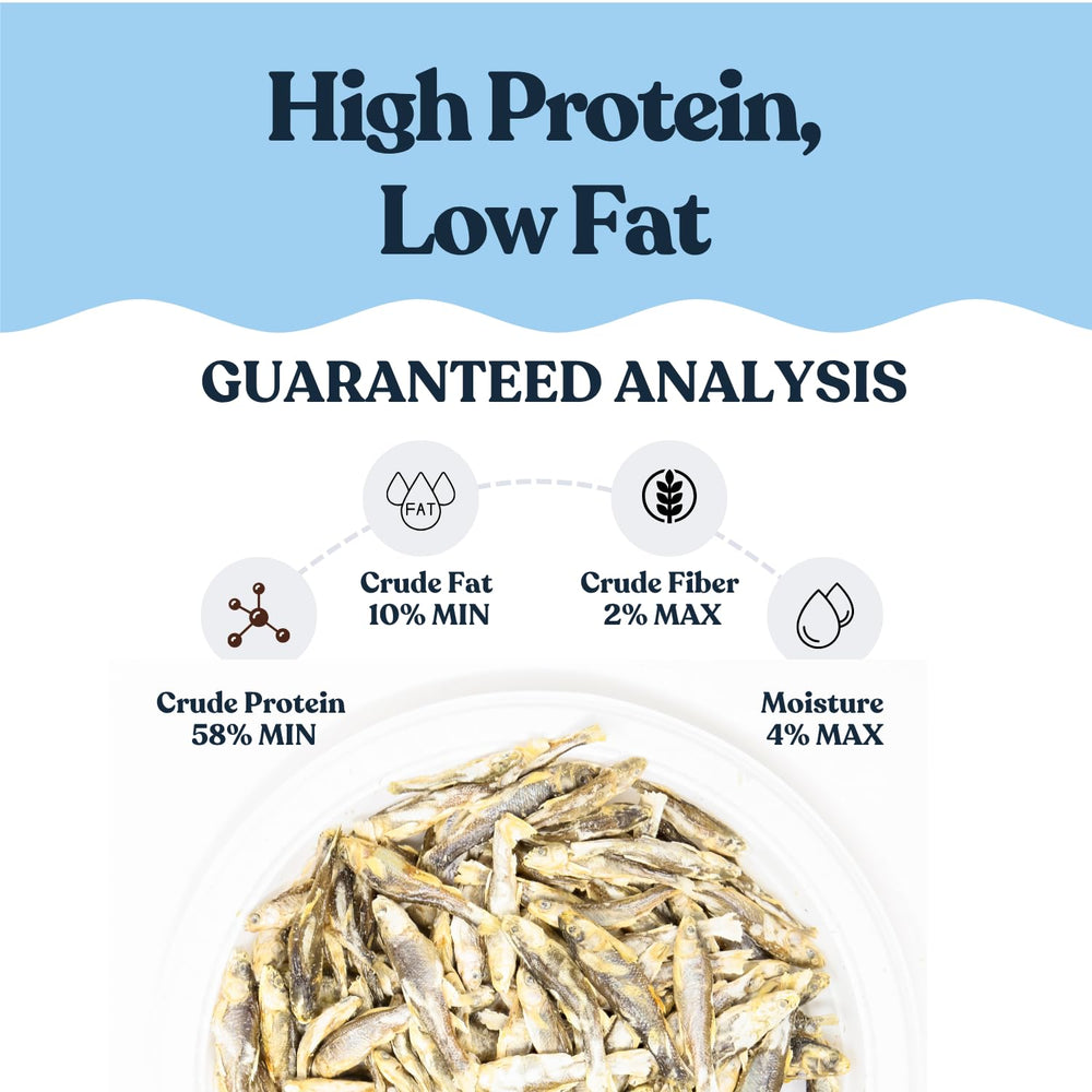Hotspot Pets omega-3 rich minnows feature for healthy shine