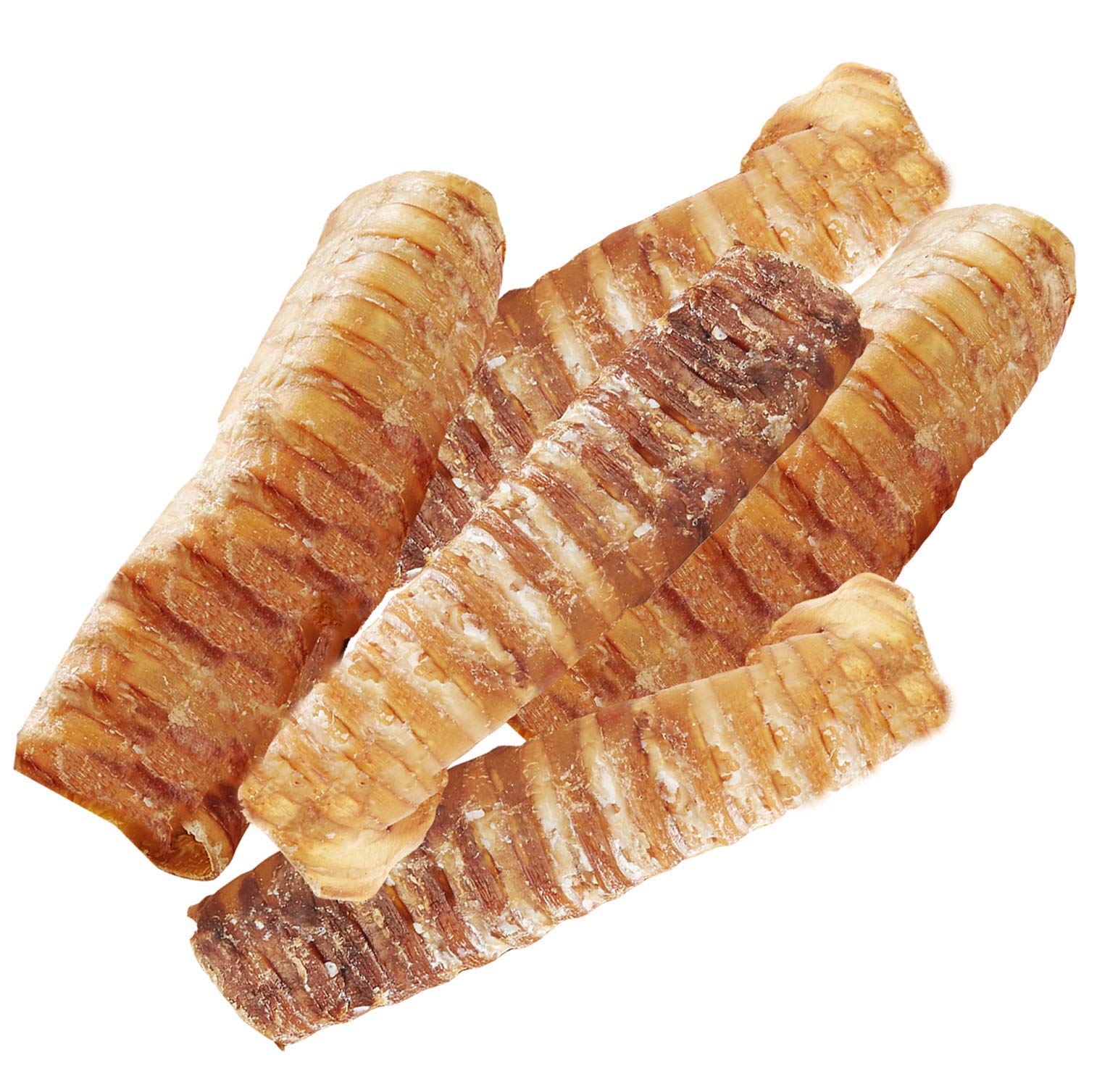 Hotspot Pets Premium Beef Trachea 6-inch strip close-up, savory dental-friendly chew for dogs
