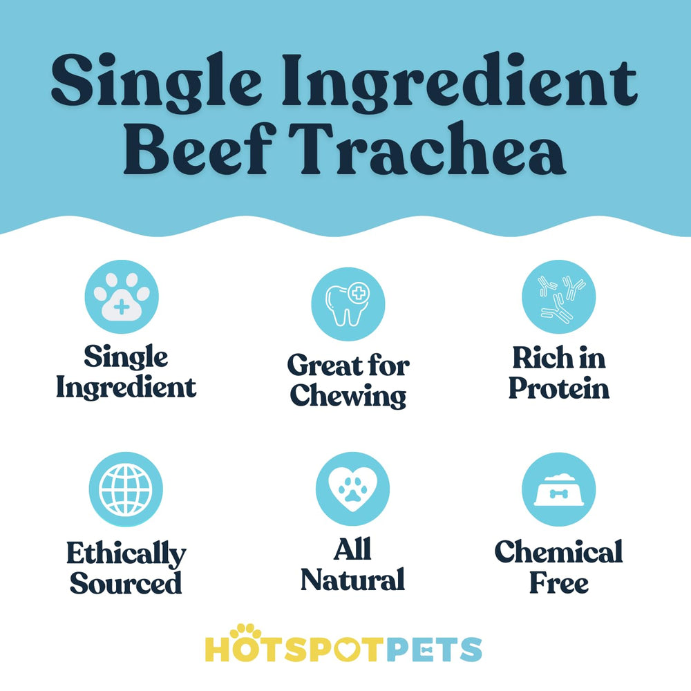 Hotspot Pets Premium Beef Trachea 6-inch strip being offered as a natural chew