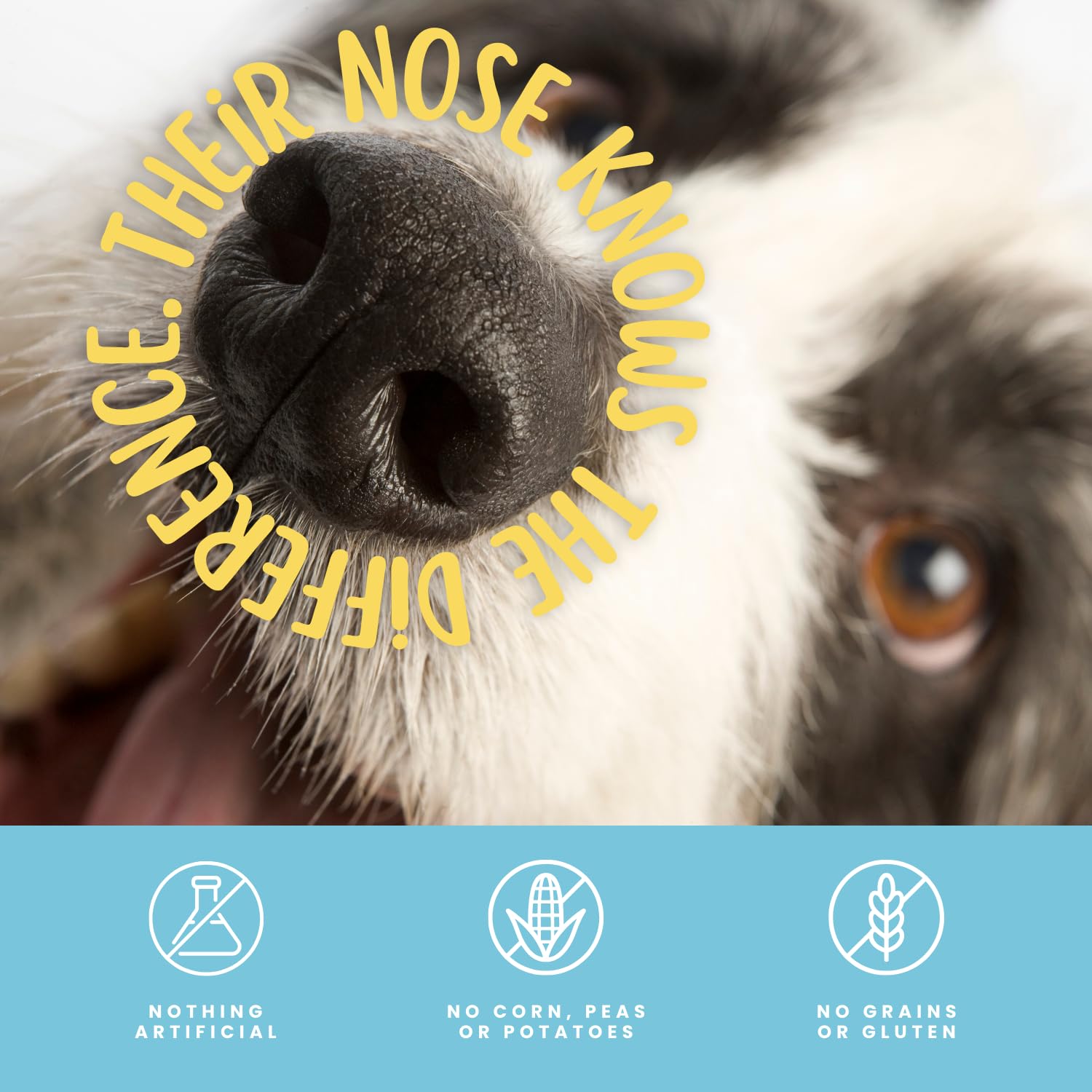 Hotspot Pets rawhide-alternative option for dogs, easy-to-digest option.