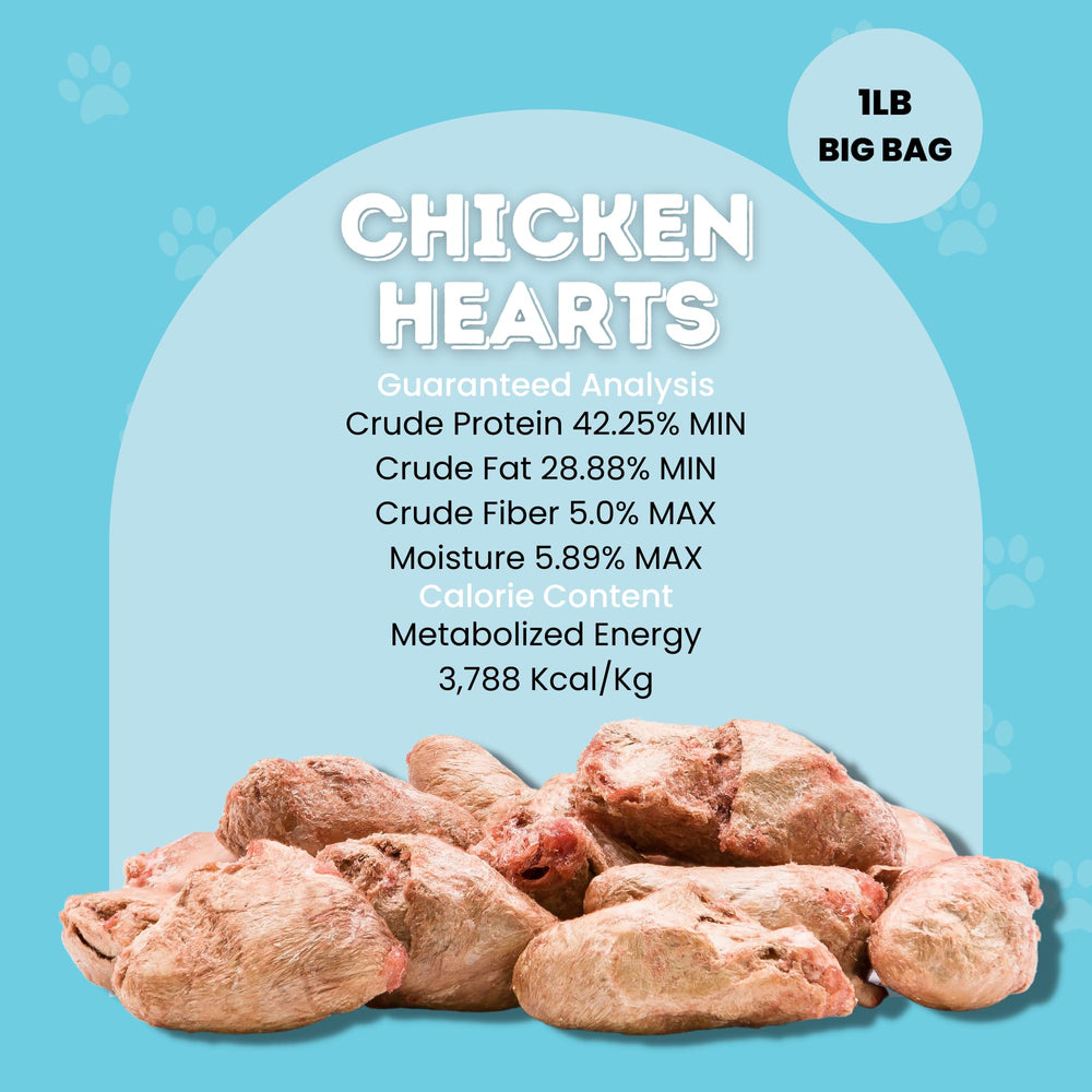Resealable bag showcases freshness of Hotspot Pets chicken heart treats.