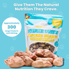 Individual freeze-dried chicken heart piece from Hotspot Pets for cats and dogs.
