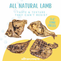 Hotspot Pets single-ingredient lamb lung close-up for simple snacking.