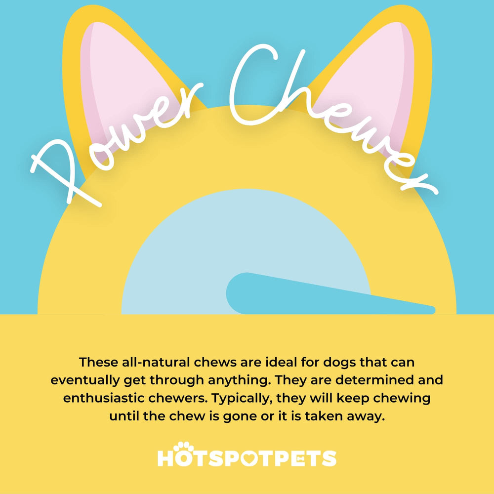 Hotspot Pets slow-roasted beef knee caps — rich flavor and lasting chew.