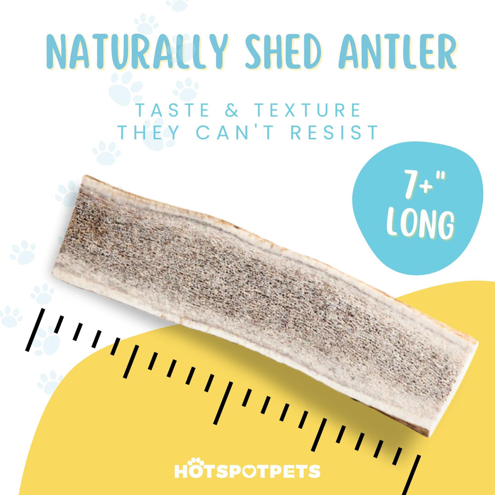 Hotspot Pets split elk antlers for dogs support dental engagement and longer chew sessions.