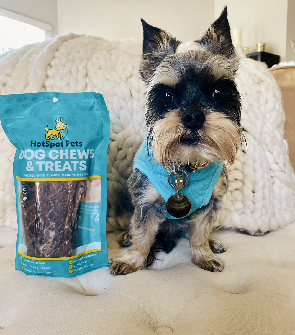Hotspot Pets stress-relief chew option promotes calm chewing during busy days.