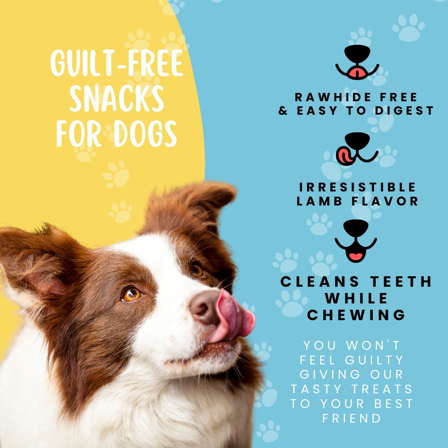 Hotspot Pets training-reward use with excited dog during clicker session.