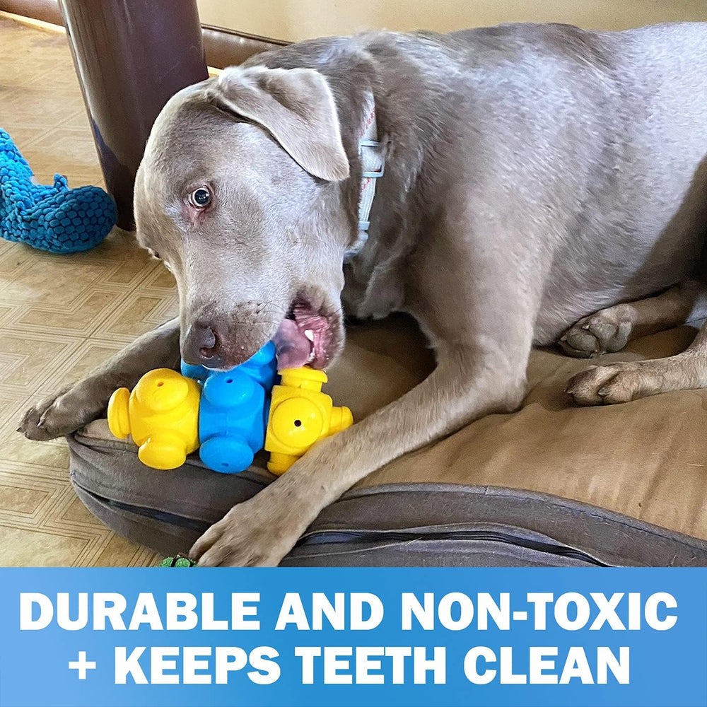 HOUNDGAMES birthday gift featuring interactive dog toys for special occasions.