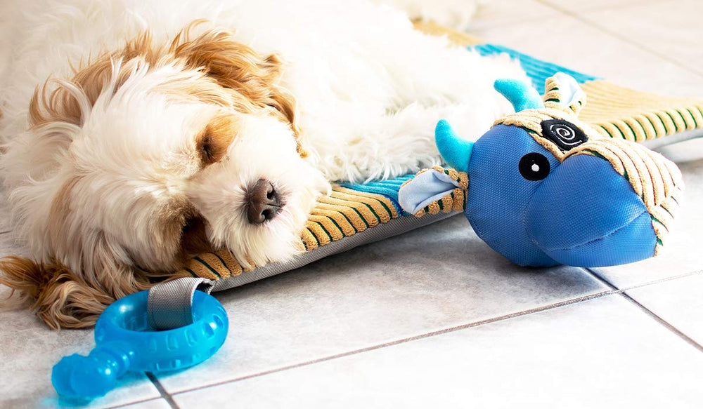 HOUNDGAMES Machine-washable mat makes cleanup quick after puppy playtime.