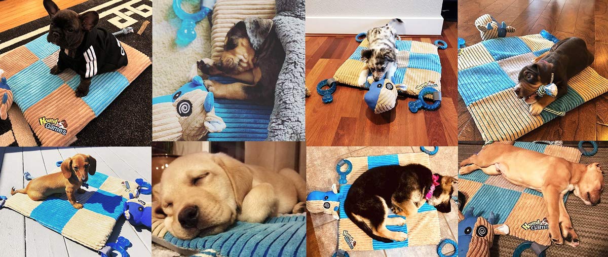 HOUNDGAMES In-action playpen setup with teething toys boosts safe, interactive play.