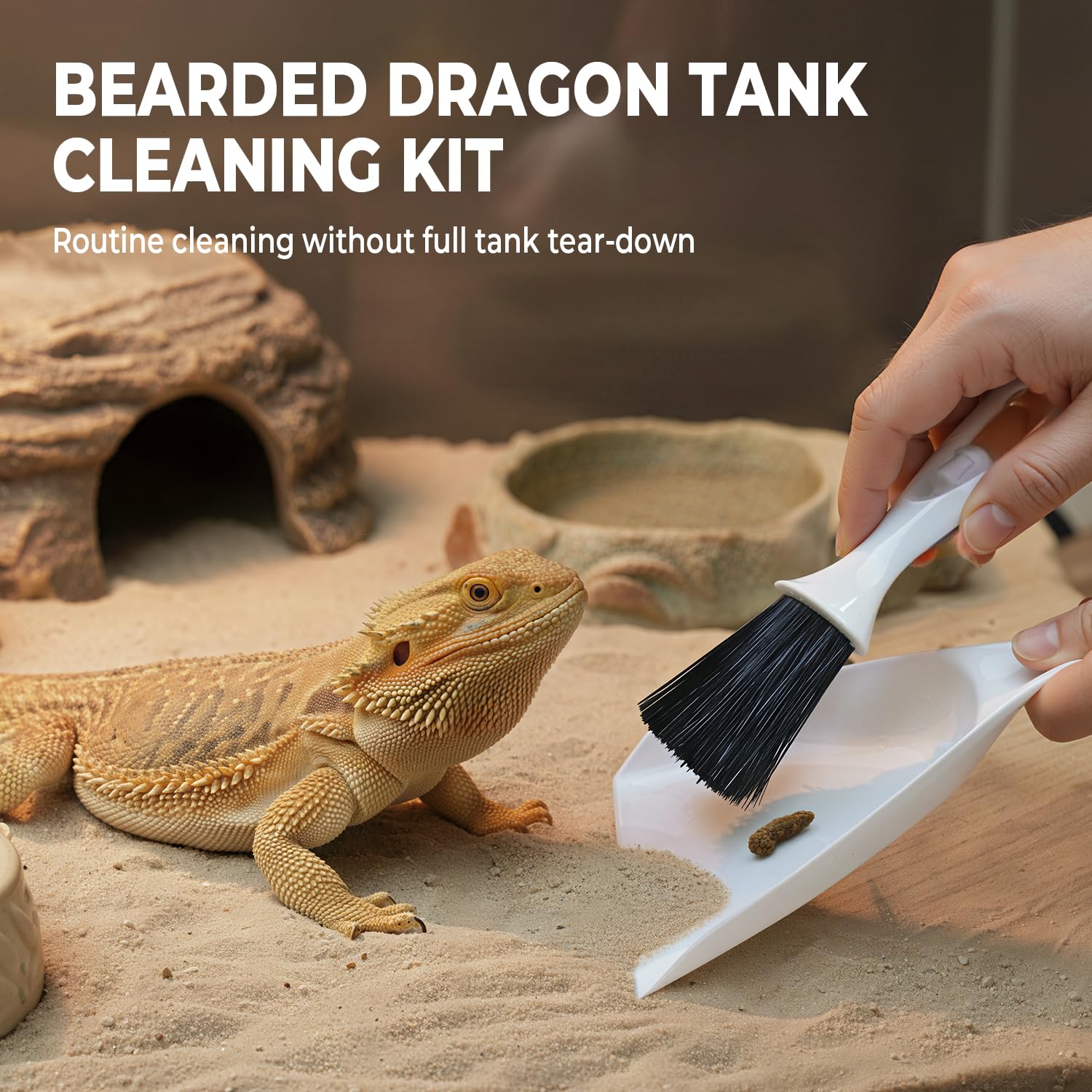 HouseBegan Bearded Dragon kit brush clears waste from corners and decor