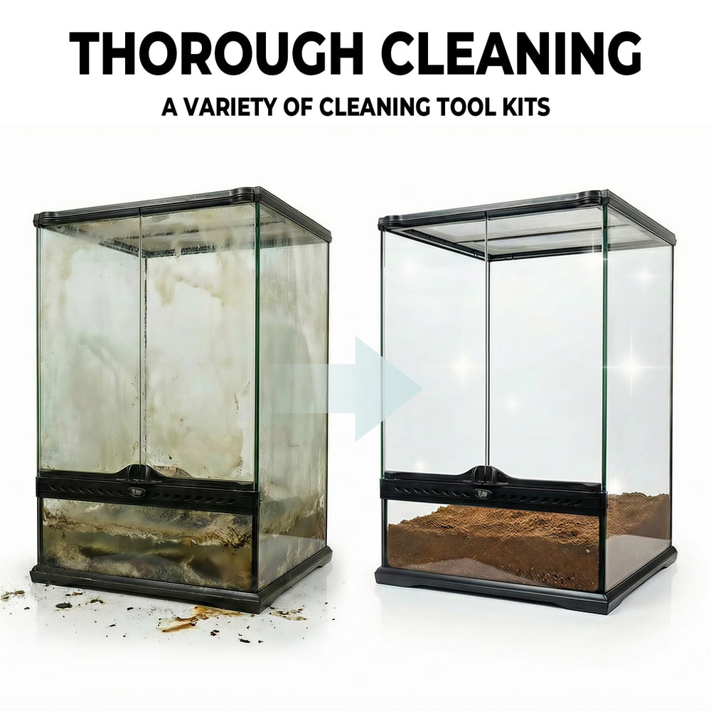 HouseBegan Bearded Dragon decor brush cleans around ornaments for tidier terrarium
