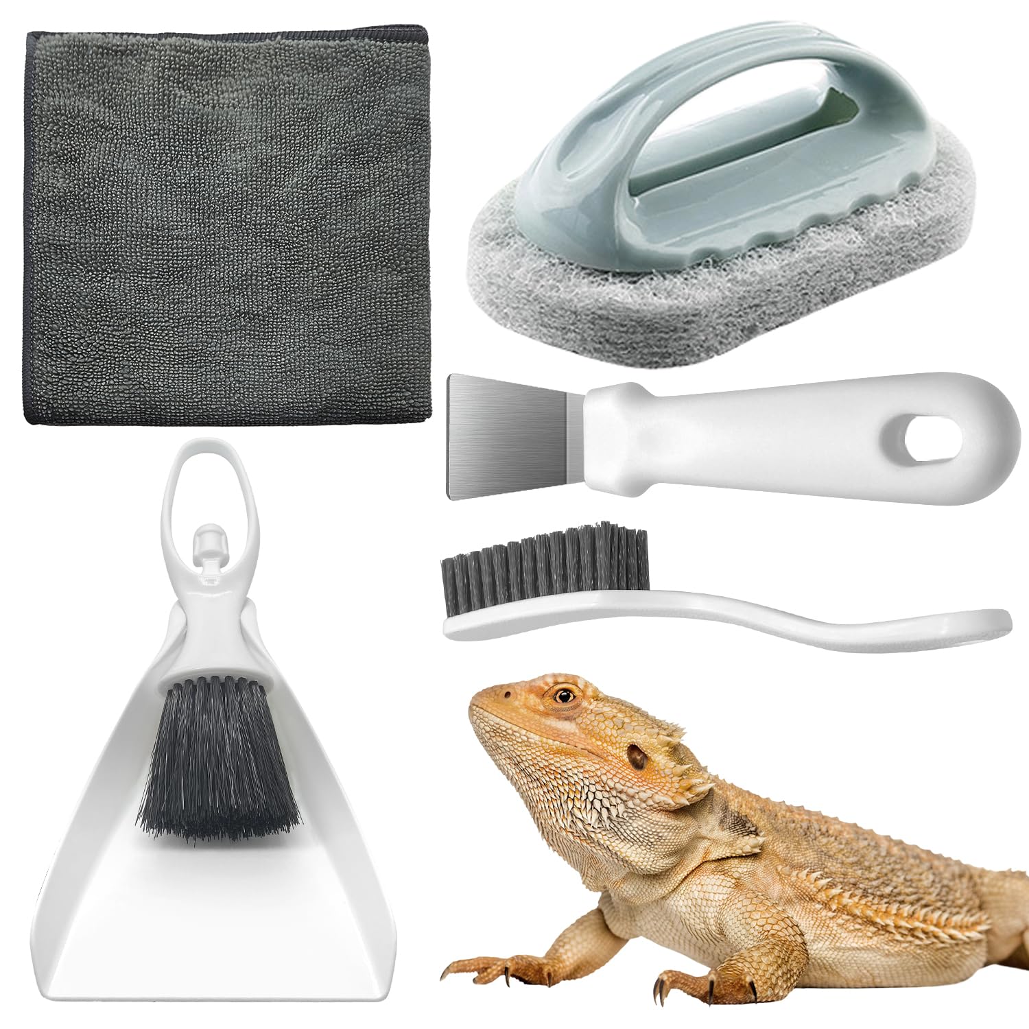 HouseBegan Bearded Dragon mini dustpan for quick enclosure debris removal