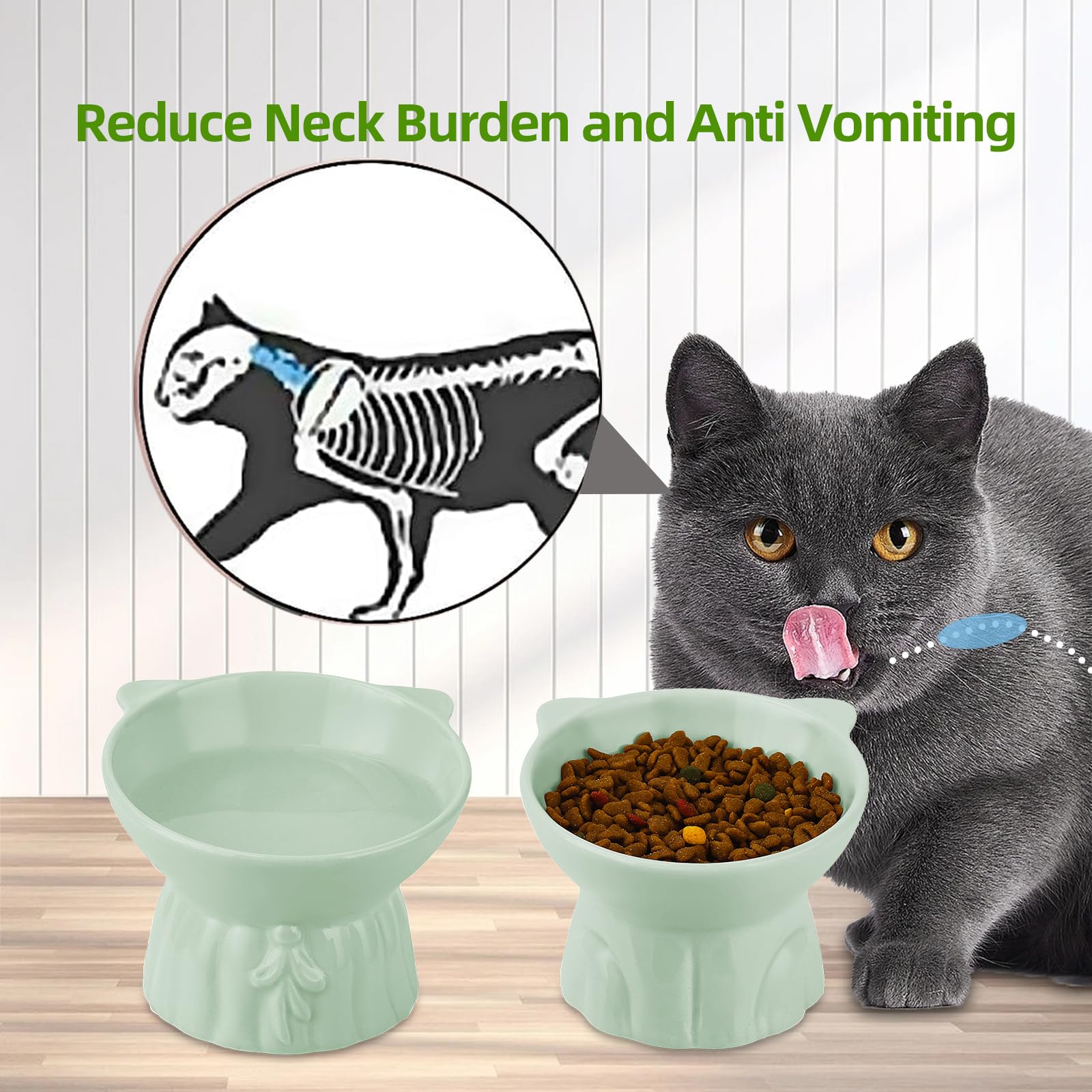 Hovico 2-pack includes separate food and water bowls for convenient meals.