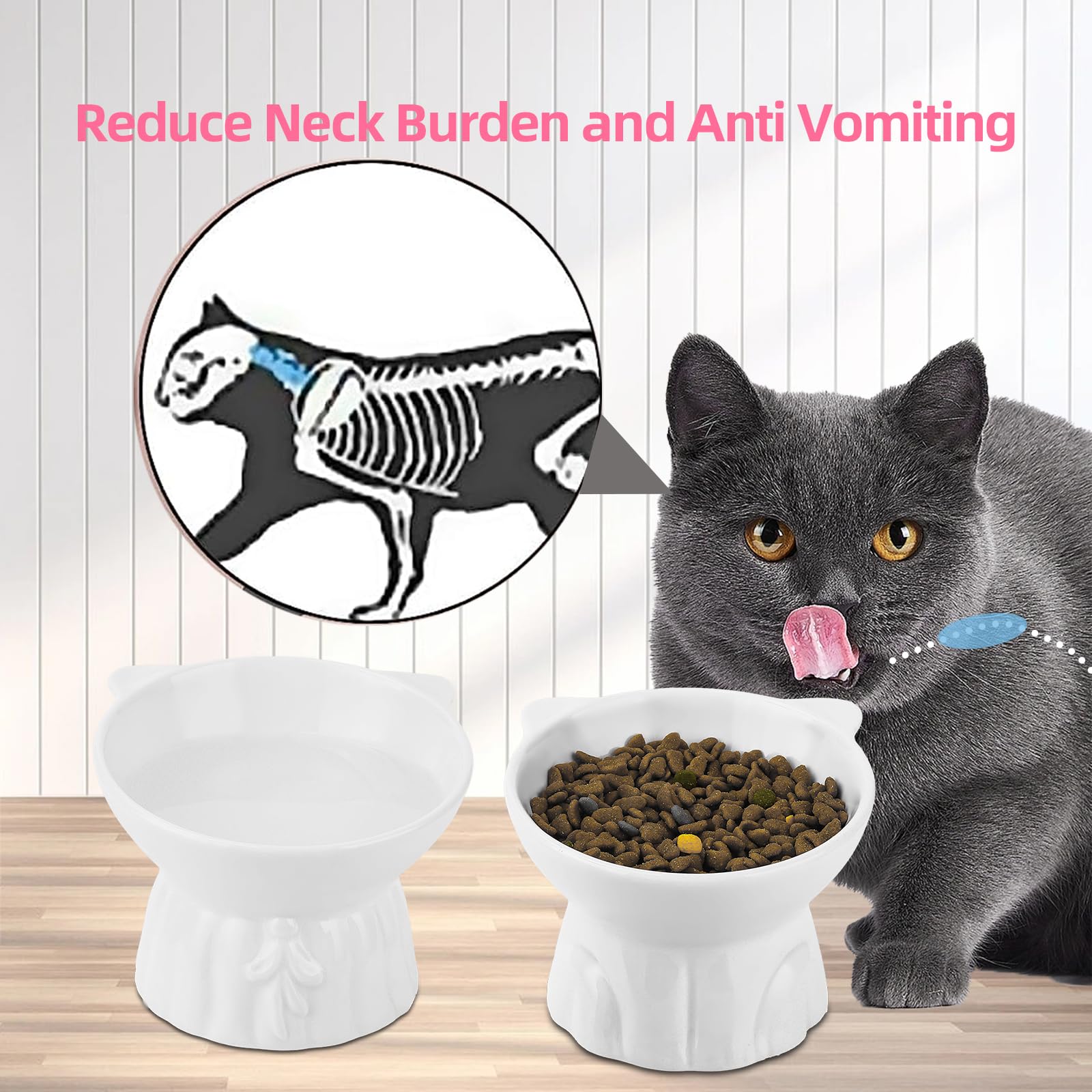 Hovico elevated cat bowls two bowls setup streamlines mealtime with food and water.