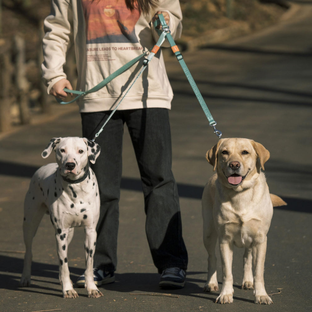 HOWGO black ultralight leash ideal for daily outdoor use.