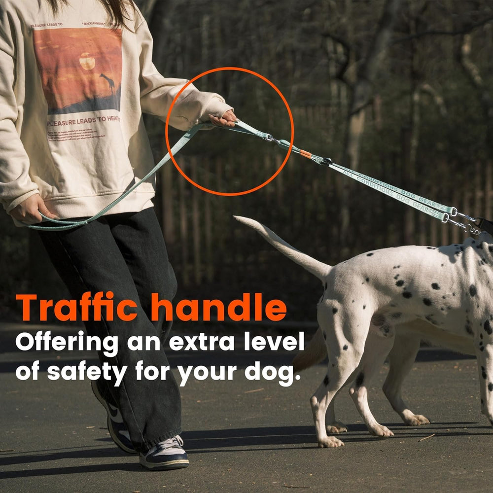 HOWGO Double-clip coupler keeps both dogs secure