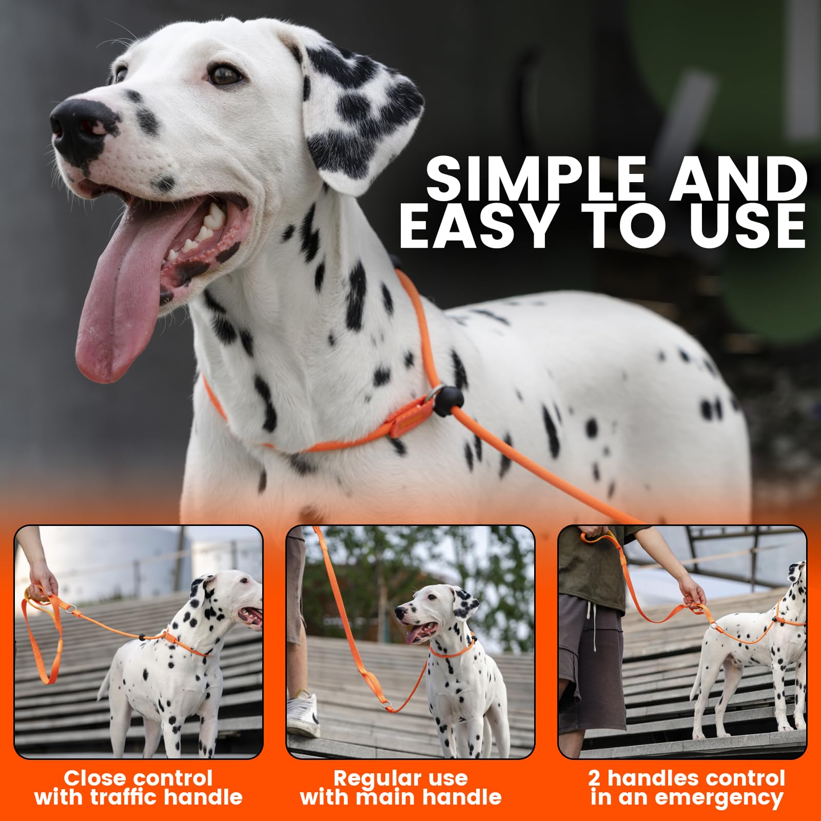 HOWGO Slip Lead demonstrates traffic handle for quick restraint in busy areas.