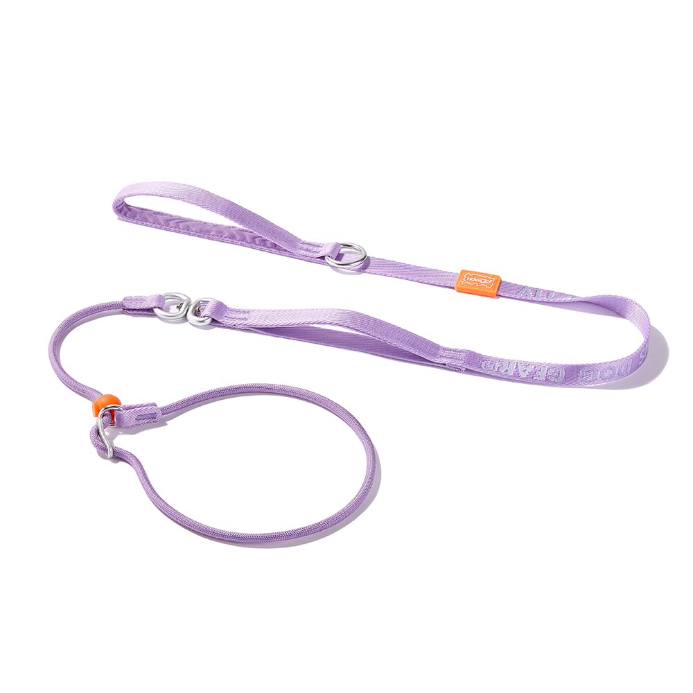 HOWGO Slip Lead with durable nylon rope for long-lasting strength during daily walks.
