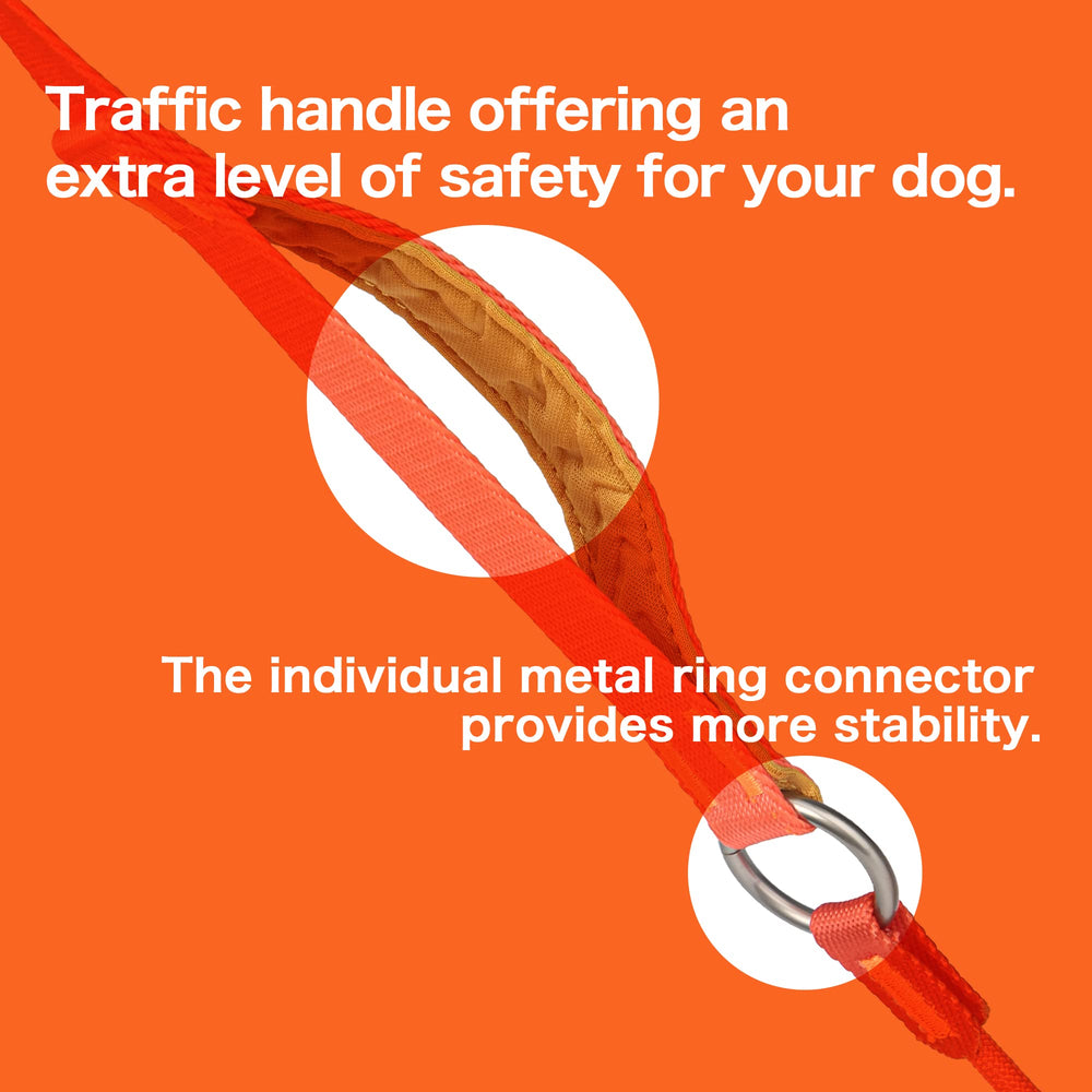 HOWGO slip lead's durable webbing stands up to daily use