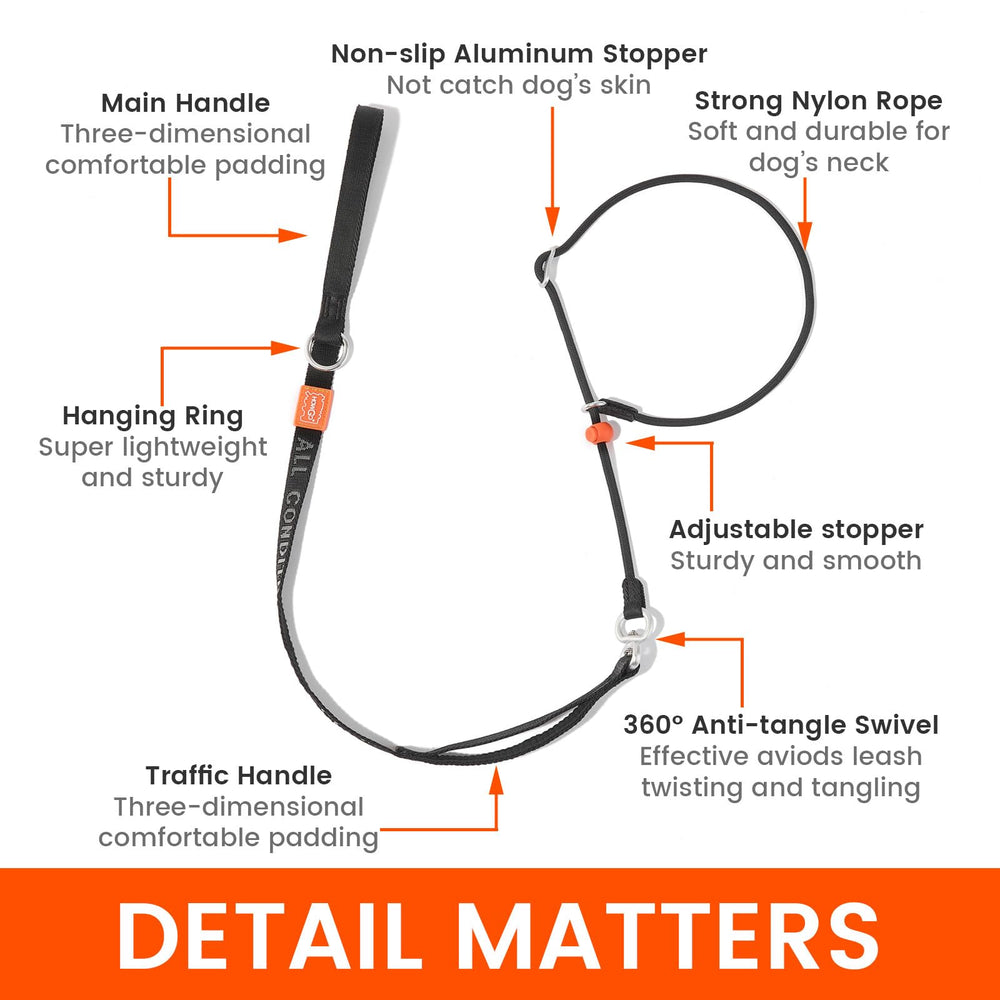 HOWGO slip lead no-pull design helps manage strong dogs.