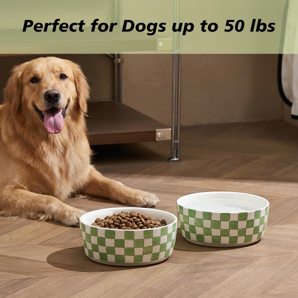 Howise stable bowls prevent spills for small pets.