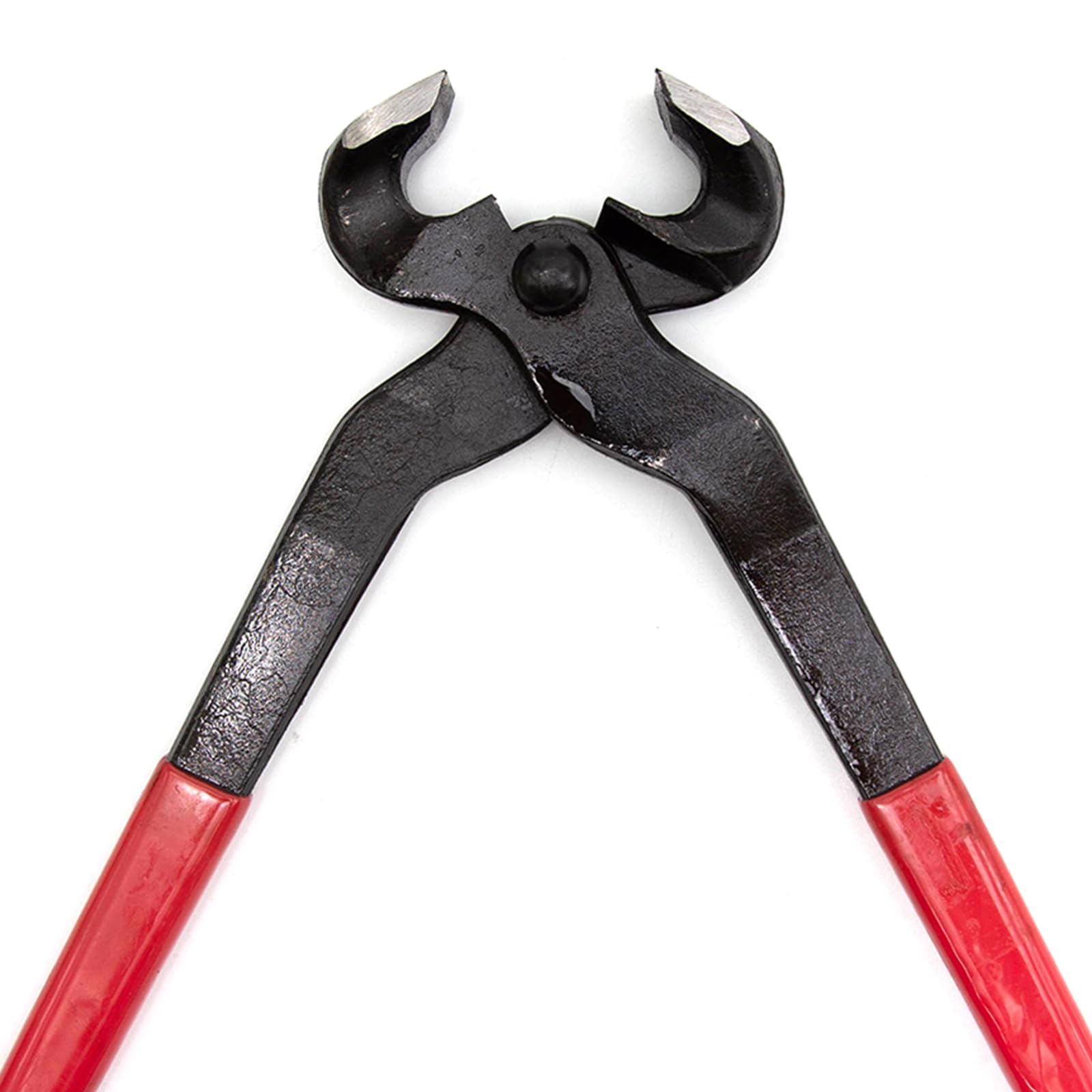 Hoypeyfiy hoof nipper removing foreign objects from hoof surface