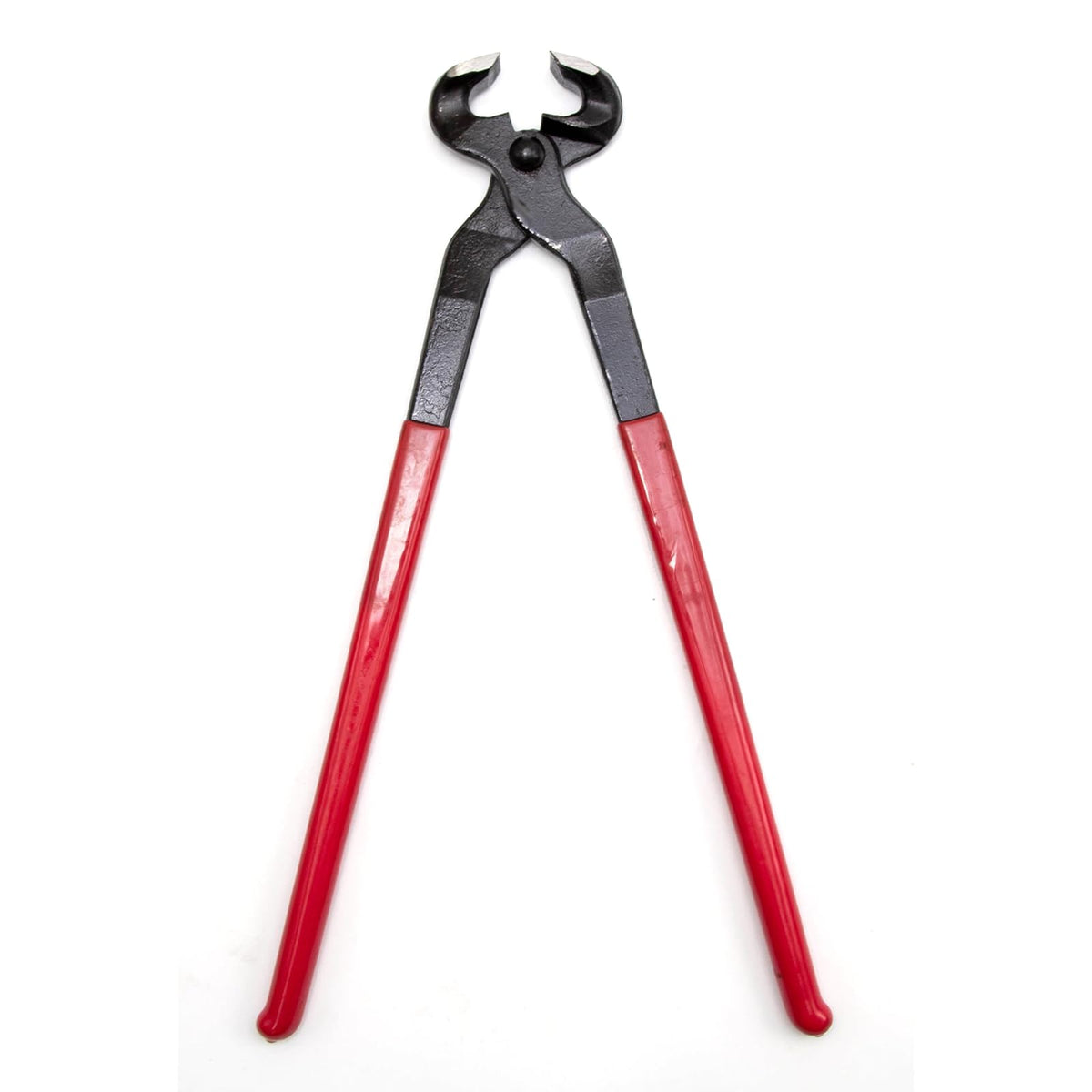 Hoypeyfiy Hoof Nipper blade close-up showing sharp edge for precise trimming